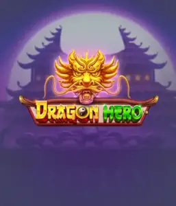 Отправьтесь в фантастическое приключение с игрой Dragon Hero от Pragmatic Play, освещающей захватывающую графику могучих драконов и эпических столкновений. Исследуйте землю, где легенда встречается с триллом, с представляющими зачарованных оружий, мистических существ и сокровищ для триллерного слот-опыта.